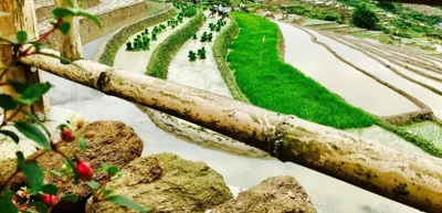 D&D Eco Sapa – Photos 12